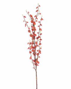 48" Peach Blossom