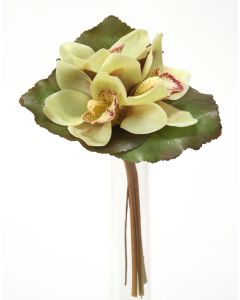 7" Cymbidium Bouquet in Light Green