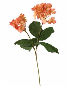 Hydrangea with Leaves in Beige Pink