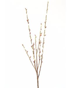 Pussy Willow Spray in Natural Pink