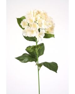 Single Hydrangea Spray in Candlelight