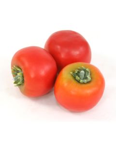 Tomato Red (Sold in Multiples of 12)