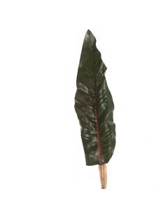 47"Single Bird/Paradise Leaf 