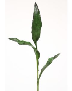 Tulip Leaves Bush in Green (Sold in Multiples of 12)