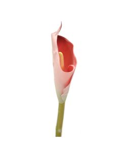 Calla Lily Large - Mauve