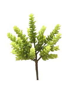 8" Succulent (Green)