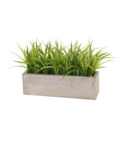 Grass in Concrete Window Box