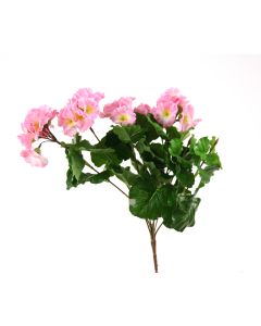 Primrose Bush Fresh Rose (12Pk)