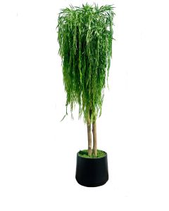7.5' Weeping Willow in Fiberstone Planter