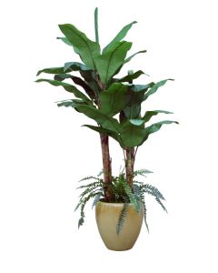 9' Banana Tree with Ground Cover