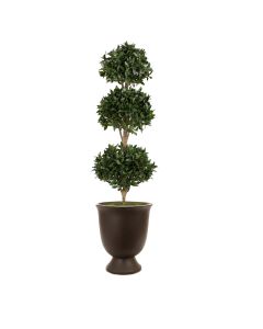Sweet Bay Triple Ball Topiary in White Concrete Urn