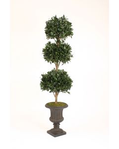 6.5' Sweet Bay Laurel 3-Ball Topiary in Rust Classic Urn