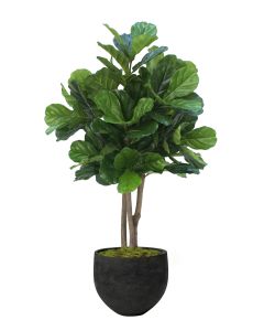 4.5' Fiddle Leaf Tree in Black Orb Stone Planter