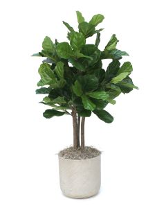 4.5' Fiddle Leaf Tree in Grey Pot