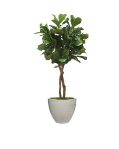 6' Fiddle Leaf Tree in Vertically Ridge  Grey Planter