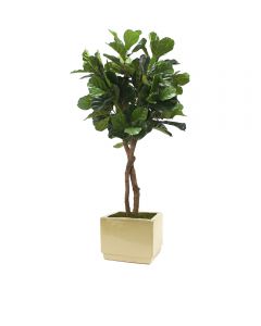 6' Fiddle Leaf Tree in Square Glazed Ivory Stoneware Planter