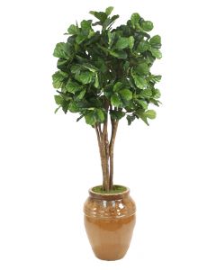 8' Fiddle Leaf Fig Tree in Large Glazed Mocha Egg Pot