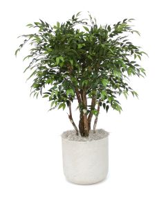 4' Ruscus Tree in Grey Stone Charlie Planter