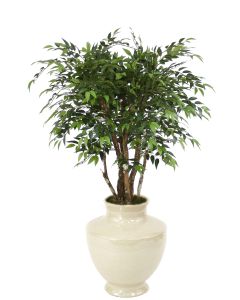 4' Ruscus Tree in Shellish Sand Earthenware Vase