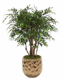 4' Ruscus Tree in Large Burnt Gold Gabi Planter