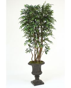 6' Ruscus Tree in Rust Fiberglas Classic Urn