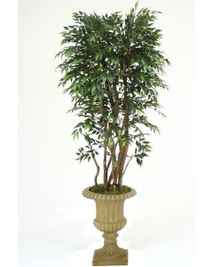 6' Ruscus Tree in Tan Resin Classic Urn
