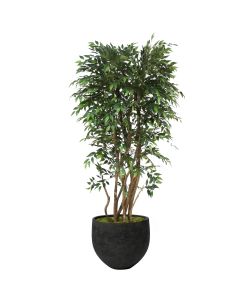 6" Ruscus Tree in Black Mini Orb Pot