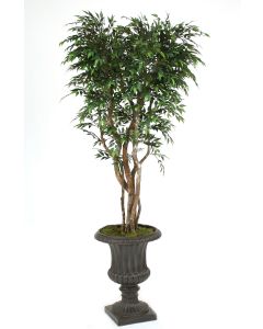 7' Ruscus Tree in Rust Finish Resin Classic Urn