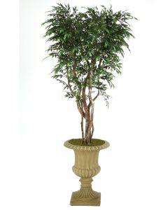 7' Ruscus Tree in Tan Resin Classic Urn