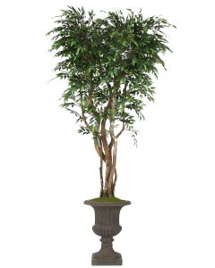 8' Ruscus Tree On Gnarly Trunks in Rust Fiberglas Classic Urn