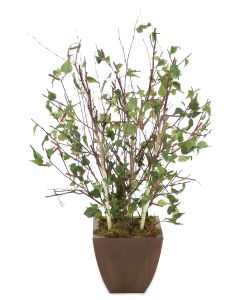 4' Birch Tree in Square Bronze Metal Contempo Planter