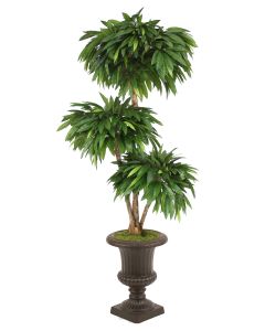 6' Layered Mango Tree In Rust Fiberglass Classic Urn