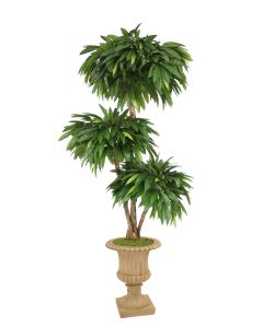 6' Layered Mango Tree in Tan Resin Classic Urn