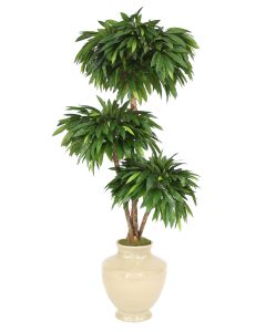 6' Layered Mango Tree in Shellish Sand Earthenware Vase