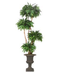 8' Layered Mango Tree in Large Rust Finish Classic Urn