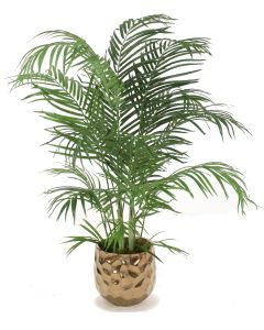 4' Areca Palm in Large Burnt Gold Gabi Planter