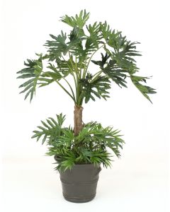 7’ Selloum Philodendron With Ground Cover In  Large Gray Terra Cotta Garden Planter 