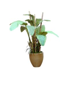 7' Banana Tree in Bronze Stoneware Pot