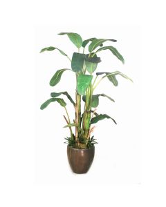 9' Banana Tree in Bronze Stoneware Pot