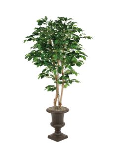 5' Green Ficus Tree in 15" Rust Classic Fiberglas Urn