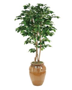 7' Deluxe Ficus Tree in Mocha Stoneware Water Jar