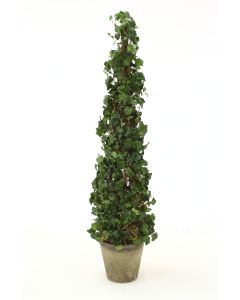 53" Ivy Topiary in an Aged Stone Pot