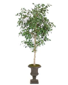 7.5' Birch Tree in Rust Finish Resin Classic Urn