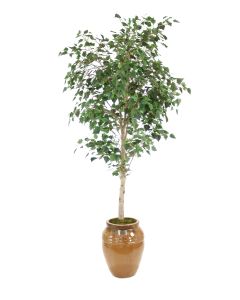7.5' Birch Tree in Extra Large Ceramic Egg Pot in Mocha