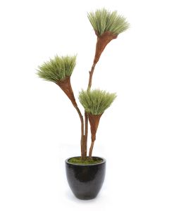 7' Basil Grass Teex3 in Black Egg Planter