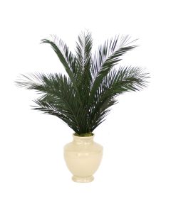 6' Phoenix Palm Tree in Shellish Sand Earthenware Planter