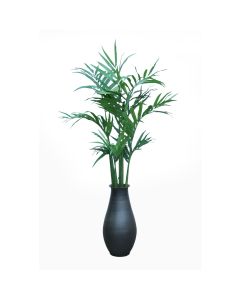 Kentia Palm Tree in Gunmetal Vase