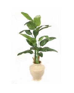 7' Heliconia in Shellish Sand Earthenware Planter