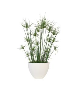 7' Papyrus with Grass and Reeds in Oval Concrete Planter