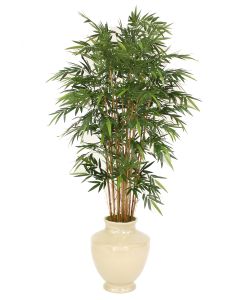 7' Natural Bamboo Tree in Shellish Sand Earthenware Planter